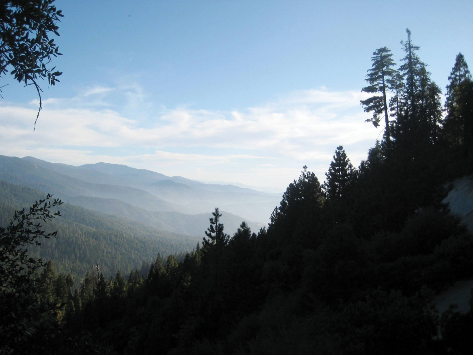 Sequoia National Park